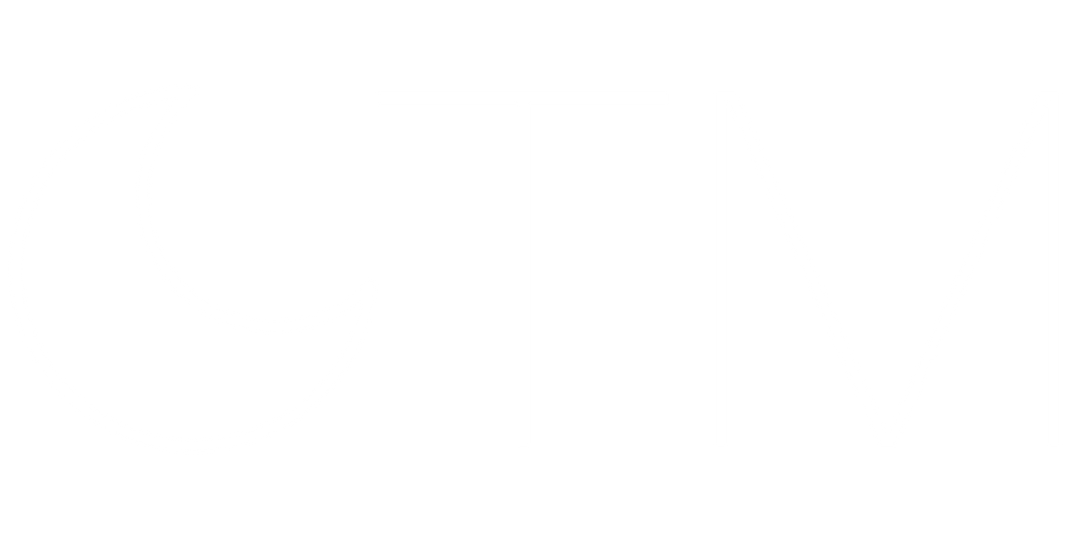 ONE TINY MOON